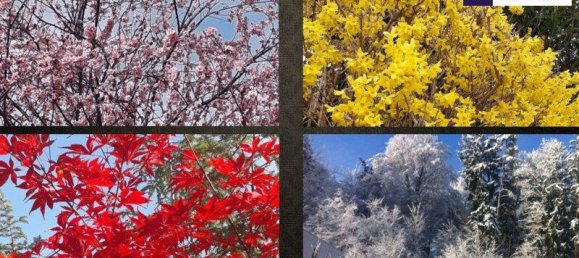 Вилла с 7 комнатами в Грац, Австрия № 245889 16