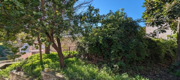 3 bedrooms Apartment in Monte di Procida, Italy No. 56806 2