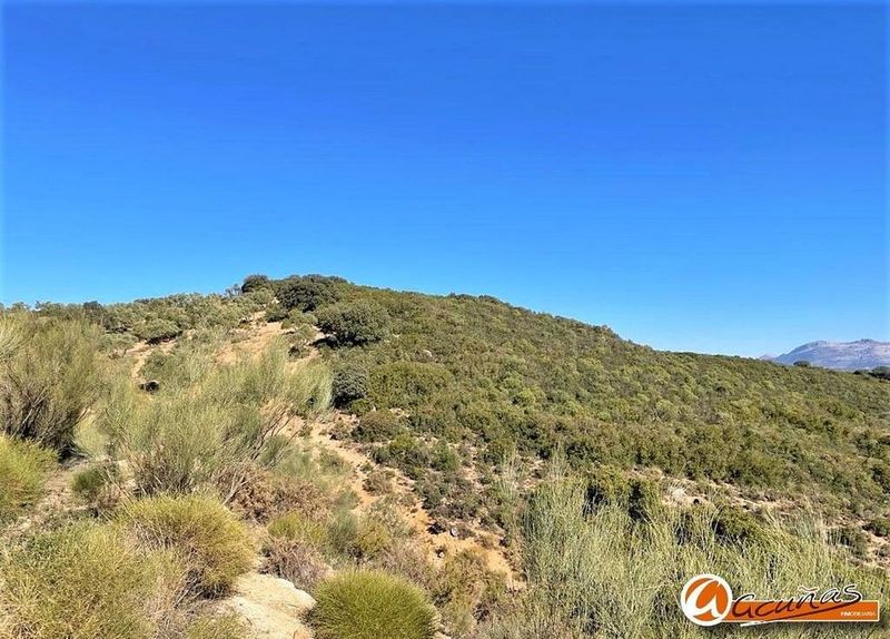 57625m² Land in Villanueva del Rosario, Spain No. 223811