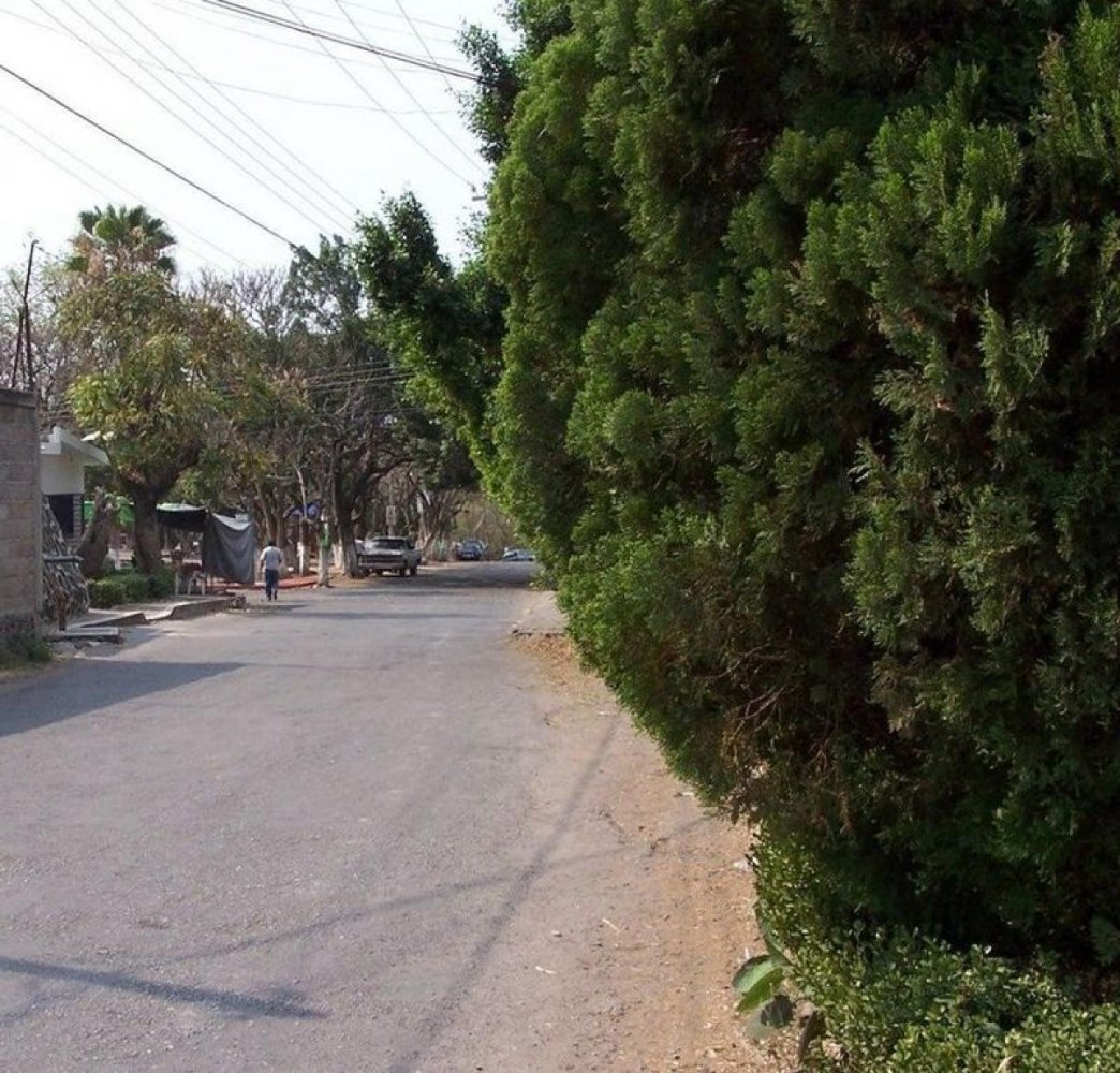 Grundstück in Ciudad Nicolas Romero, Mexico, Nr. 205569