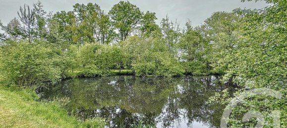 Castelos T4 em Mennetou-sur-Cher, France N.º 65904 20