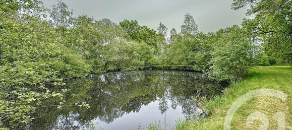 Castelos T4 em Mennetou-sur-Cher, France N.º 65904 19