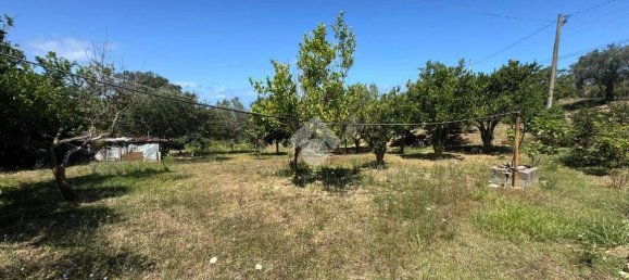 1 chambre Maison à Amantea, Italy No. 277203 21