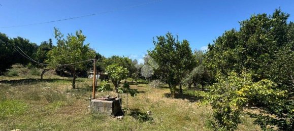 1 chambre Maison à Amantea, Italy No. 277203 27