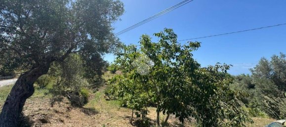 1 chambre Maison à Amantea, Italy No. 277203 23