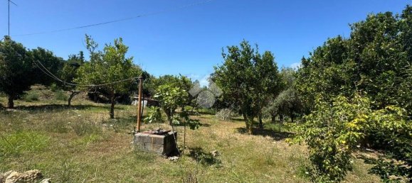 1 chambre Maison à Amantea, Italy No. 277203 3