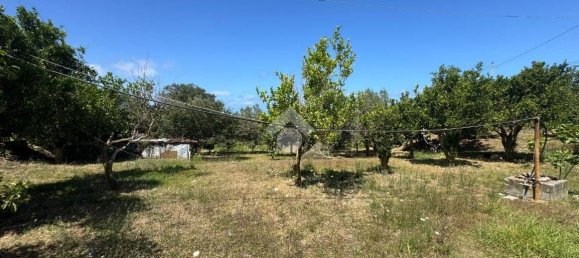 1 chambre Maison à Amantea, Italy No. 277203 28