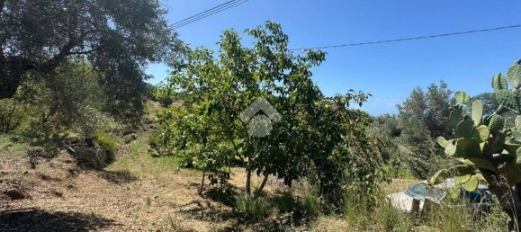 1 chambre Maison à Amantea, Italy No. 277203 2