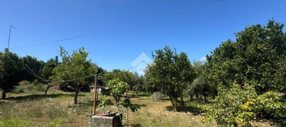 1 chambre Maison à Amantea, Italy No. 277203 14