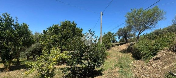 1 chambre Maison à Amantea, Italy No. 277203 12