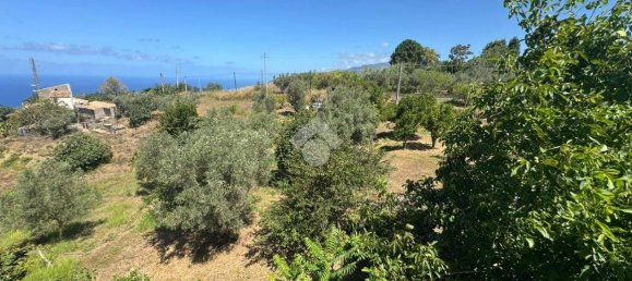 1 chambre Maison à Amantea, Italy No. 277203 26