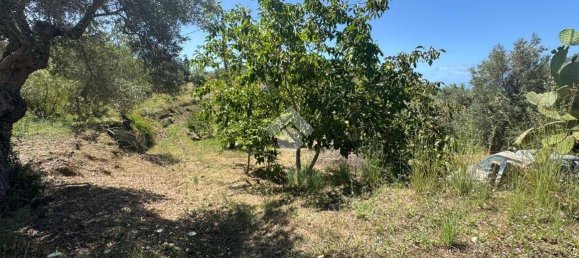 1 chambre Maison à Amantea, Italy No. 277203 19