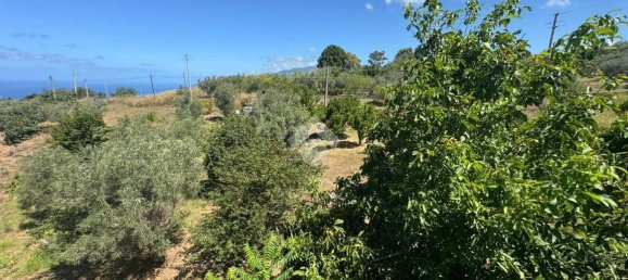 1 chambre Maison à Amantea, Italy No. 277203 15