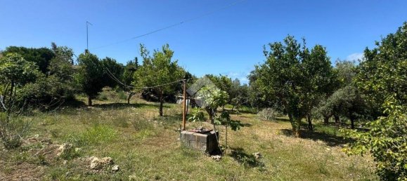 1 chambre Maison à Amantea, Italy No. 277203 17