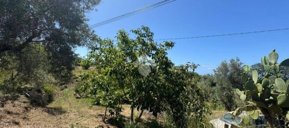 1 chambre Maison à Amantea, Italy No. 277203 20