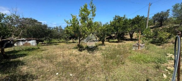 1 chambre Maison à Amantea, Italy No. 277203 24