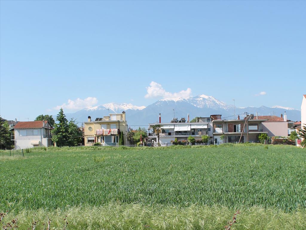 Hotel em Katerini, Greece 1398 m² N.º 7245