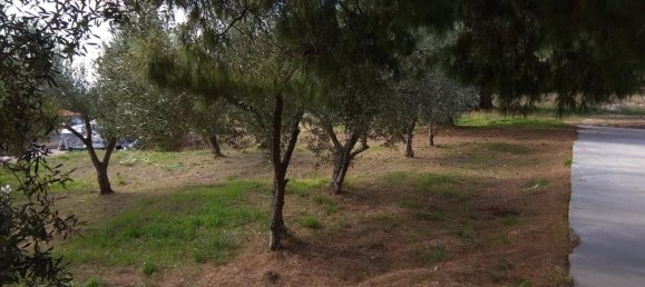 900m² Hotel in Polygyros, Greece No. 5906 3