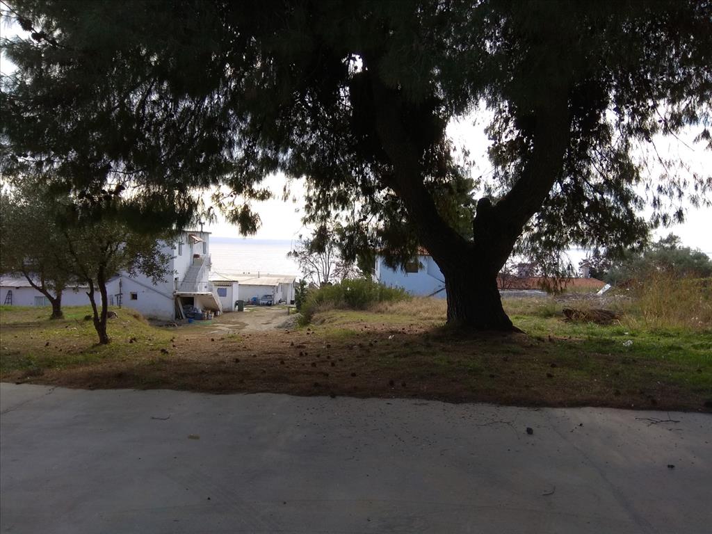 900m² Hotel in Polygyros, Greece No. 5906