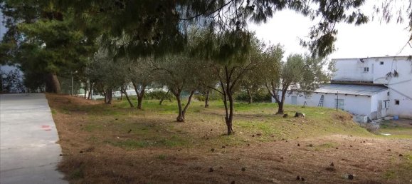 900m² Hotel in Polygyros, Greece No. 5906 2