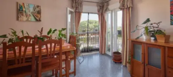 4 bedrooms Apartment in Barriada Rio San Pedro, Spain No. 172693 37