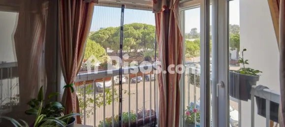 4 bedrooms Apartment in Barriada Rio San Pedro, Spain No. 172693 36