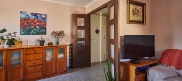 4 bedrooms Apartment in Barriada Rio San Pedro, Spain No. 172693 4