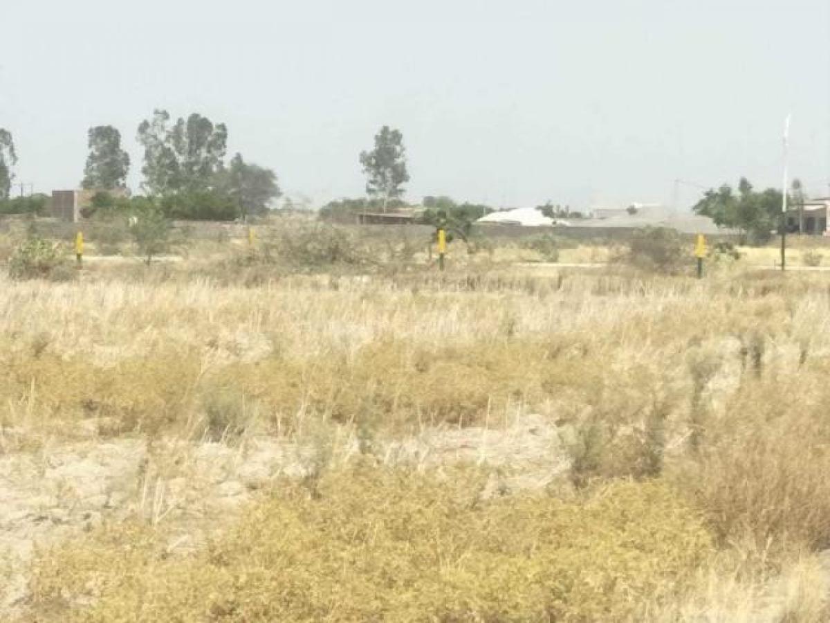  Land in Aligarh, India No. 35957