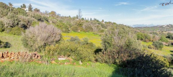 قطعة أرض في Lagos, Portugal رقم 146484 40