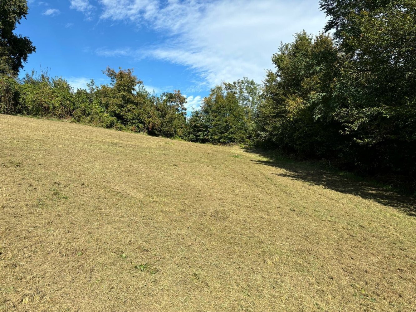 Grundstück in Luftenberg an der Donau, Austria, Nr. 134954