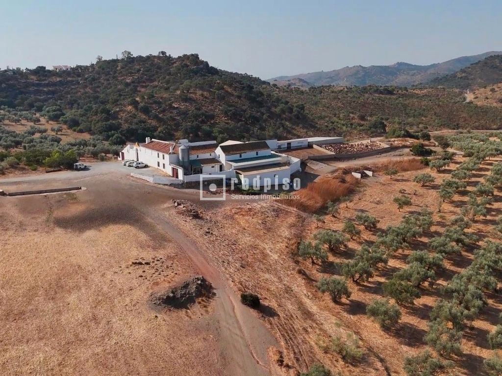 10 Schlafzimmer Haus in Malaga, Spain, Nr. 245434