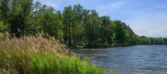 Cafe / Restaurant in Dahme-Spreewald, Germany, Nr. 249827 34