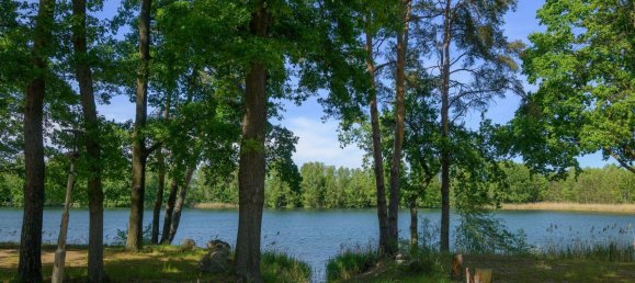 Cafe / Restaurant in Dahme-Spreewald, Germany, Nr. 249827 33