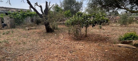 2 chambres Maison à Santa Margalida, Spain No. 154335 10