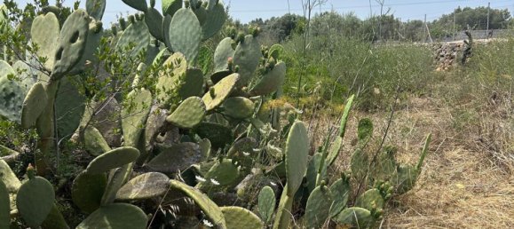 2 chambres Maison à Santa Margalida, Spain No. 154335 4