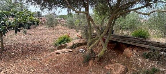 2 chambres Maison à Santa Margalida, Spain No. 154335 2