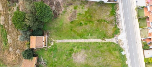 Земельный участок в Турсифал, Португалия № 161111 5