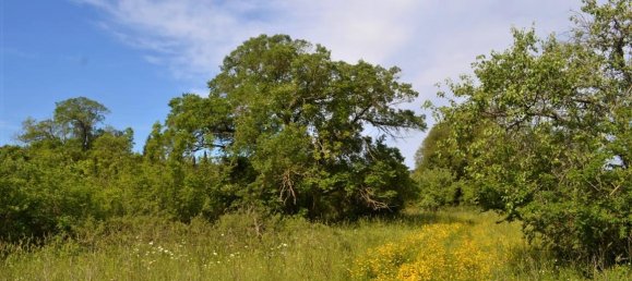 72000m² Hotel in Corfu, Greece No. 4552 4