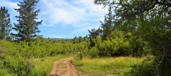  فندق في Corfu, Greece 72000متر مربع رقم 4552 5