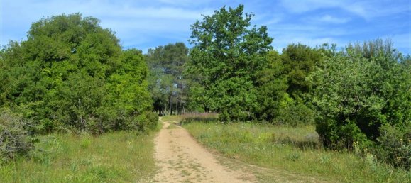 72000m² Hotel in Corfu, Greece No. 4552 13