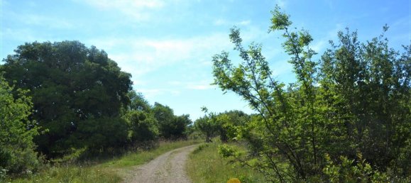 72000m² Hotel in Corfu, Greece No. 4552 7