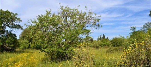 72000m² Hotel in Corfu, Greece No. 4552 3