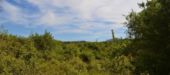 72000m² Hotel in Corfu, Greece No. 4552 12