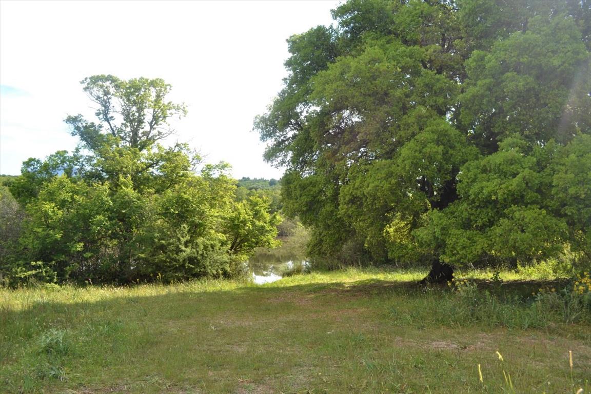 72000m² Hotel in Corfu, Greece No. 4552