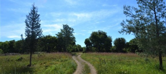 72000m² Hotel in Corfu, Greece No. 4552 6