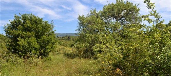 72000m² Hotel in Corfu, Greece No. 4552 9