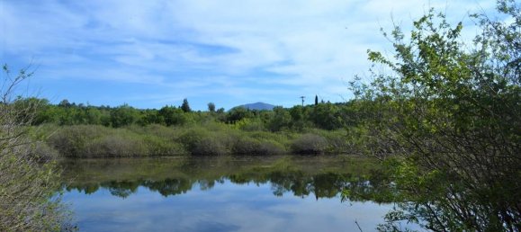 72000m² Hotel in Corfu, Greece No. 4552 2