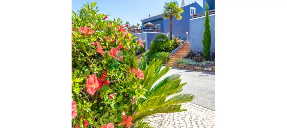 40 Schlafzimmer Hotel in Luz, Portugal, Nr. 135908 23