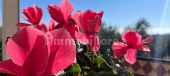 5 bedrooms Villa in Isola del Liri, Italy No. 57797 41