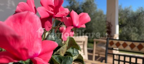 5 bedrooms Villa in Isola del Liri, Italy No. 57797 36